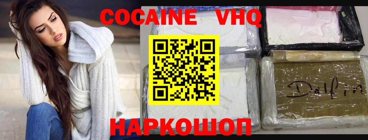 COCAIN Fish Scale  купить наркотики цена  Елизово  Вход с VPN  COCAIN 99% 