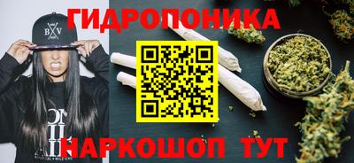 шишки Балашиха