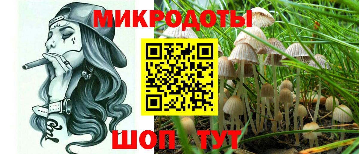 Елизово  Псилоцибиновые грибы мухоморы  Вход с VPN 